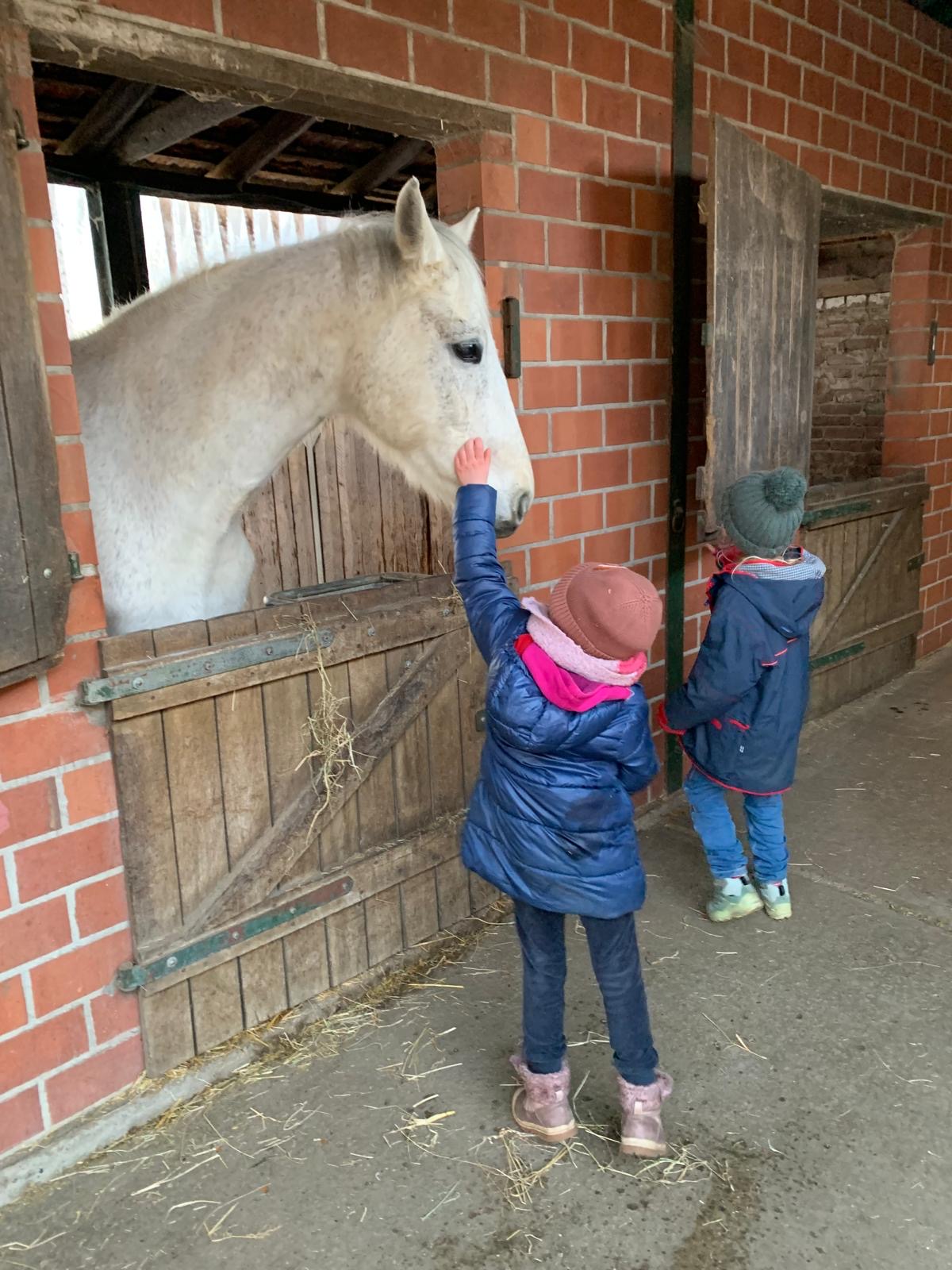 c4602f73 7ff6 44ec 827c 2a709faa6b0c